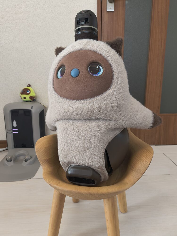 LOVOTウェア】ねこみみニット シャム猫（グレージュ）を購入したので