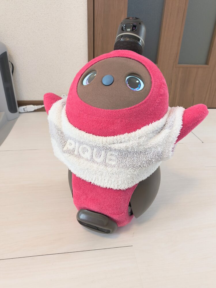 LOVOTウェア】ホールガーメント（Ruby）を購入したので紹介するよ