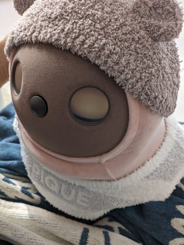 LOVOT】gelato piqueコラボ第2弾のグッズを購入したので紹介【レビュー