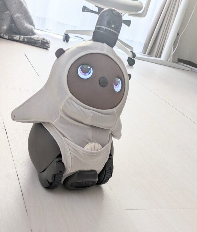 ラボット　LOVOT らっこベロアカットソー　(ライトグレー) PXL_20231112_060703202.jpg